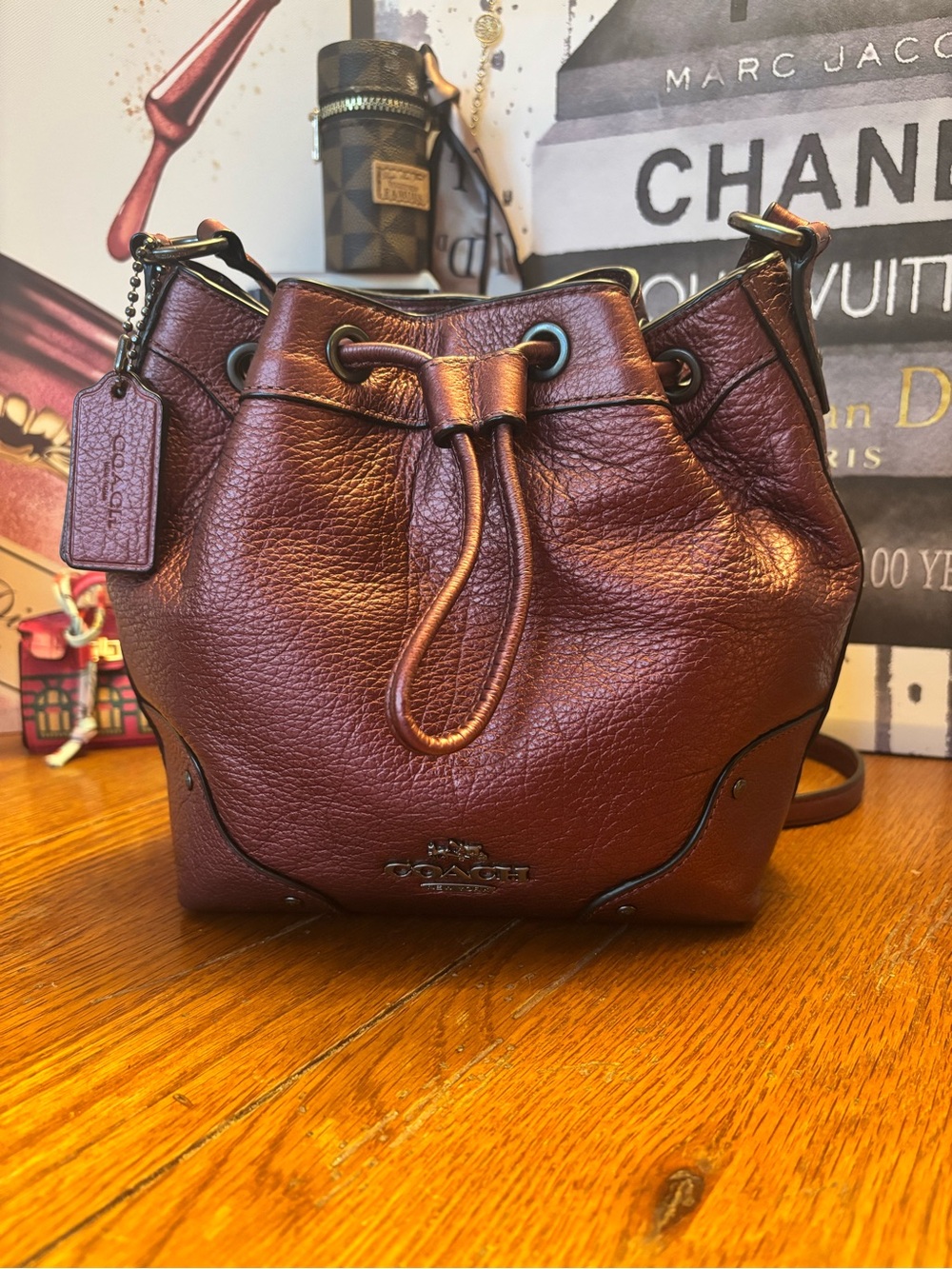 Coach Baby Mickie Drawstring Bag, style F35363